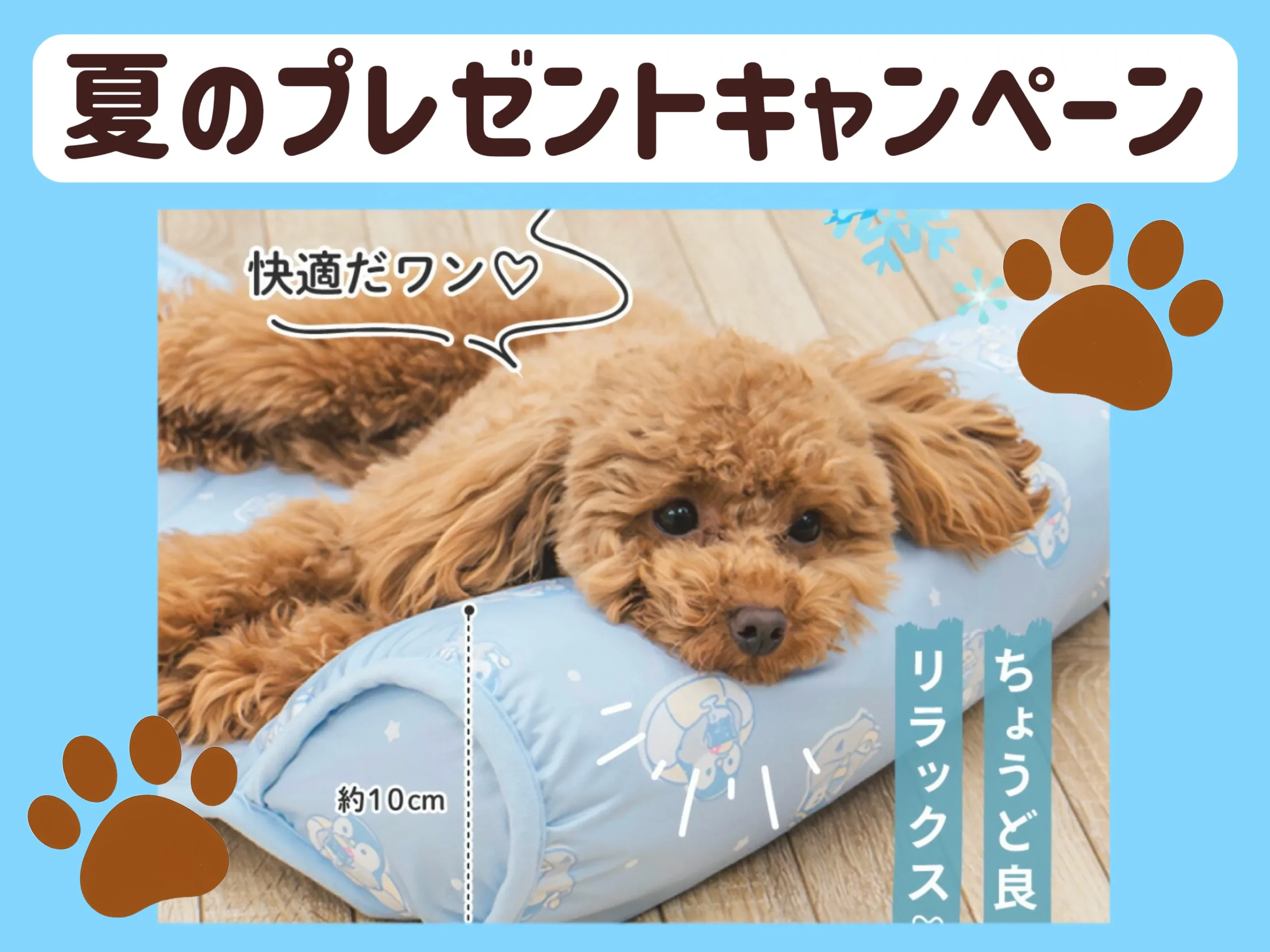 【2025.6.23～2025.7.31】夏を乗りきるひんやりグッズ♪